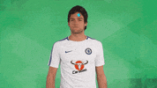 chelsea fc football GIF by Carabao UK
