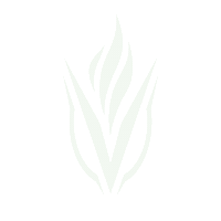 vigorlabs logo vigor labs vigor labs logo Sticker