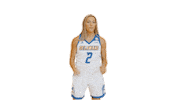 Basketball No Sticker by Delaware Blue Hens