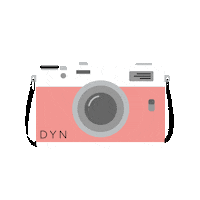 festival picture Sticker by Dynamite Clothing