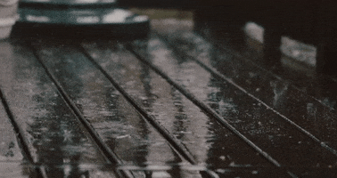 Rain GIF by Ash Branding Co