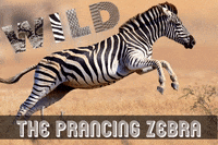 Esports Bs GIF by BS+COMPETITION