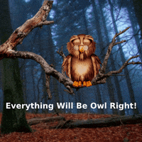 Forest Owl GIF