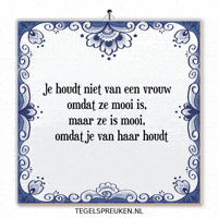 Humor Nl GIF by Tegelspreuken.nl