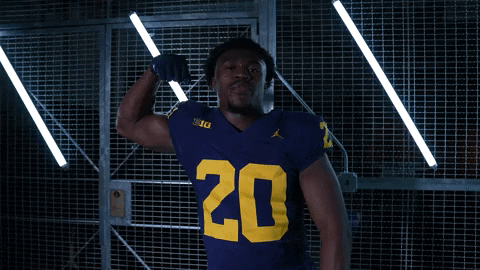 Go Blue GIF by Michigan Athletics