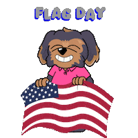 American Flag America Sticker by BoDoggos