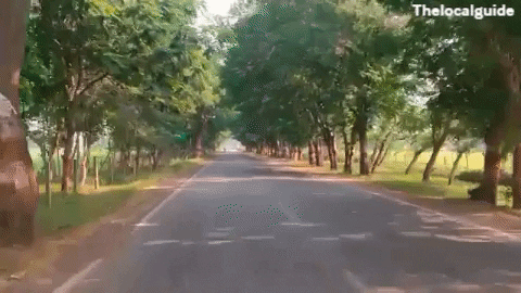 Thelocalguide giphygifmaker GIF