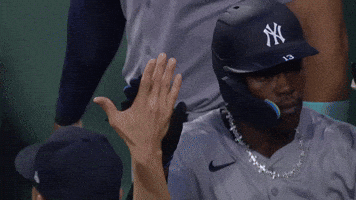 New York Yankees Sport GIF by MLB