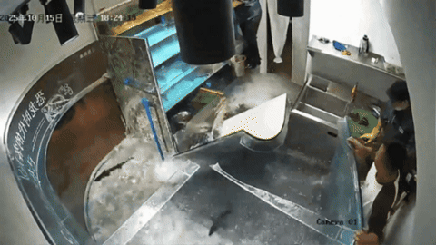 dayeon000 giphygifmaker GIF