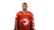 Ice Hockey Sticker Sticker by HC Oceláři Třinec