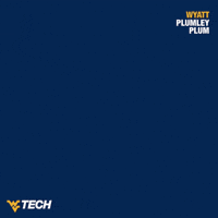 Esports Overwatch GIF by WVU Tech Golden Bears