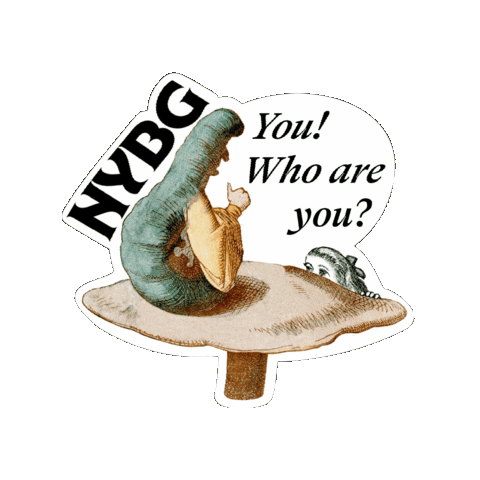 nybg  Sticker