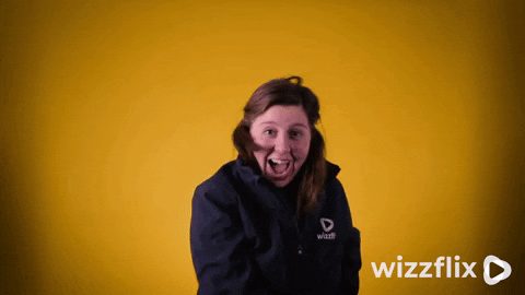 Wizzflix_ giphyupload dance party dancing GIF