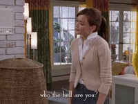 season 6 netflix GIF by Gilmore Girls 