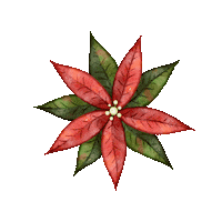 sararuizalejos christmas illustration flower navidad Sticker