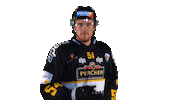 Hockey Look Sticker by HC Pustertal Wolves