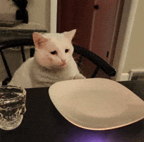 Hungry Give Me Some GIF