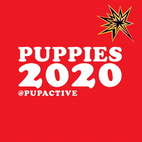 pupactive vote puppies pupactive dog friendly af GIF