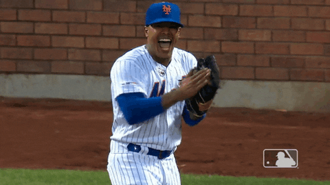 Happy Ny Mets GIF by New York Mets