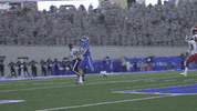 Air Force GIF by Air Force Falcons