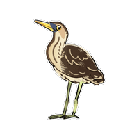 Bittern Sticker