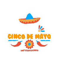 Cinco De Mayo Party Sticker by 360 Tour Toronto