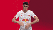 Lets Go Football GIF by RB Leipzig