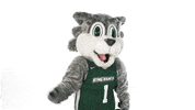 Suny Binghamton GIF by Binghamton University