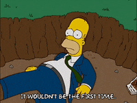 homer simpson GIF