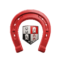 Horse Race Horseshoe Sticker by TJK