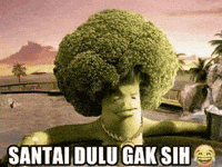 Meme Indo GIF