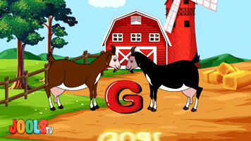 G Is For Goat
