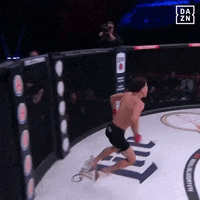 lets go yes GIF by DAZN USA