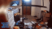 The Matrix 3D GIF by Magnolia Pictures