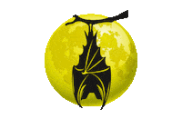 Point Of View Love Sticker by DENKdifferent