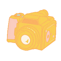 Film Camera Sticker by Paige Vaughn Photo