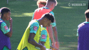 Training Saison GIF by SV Werder Bremen