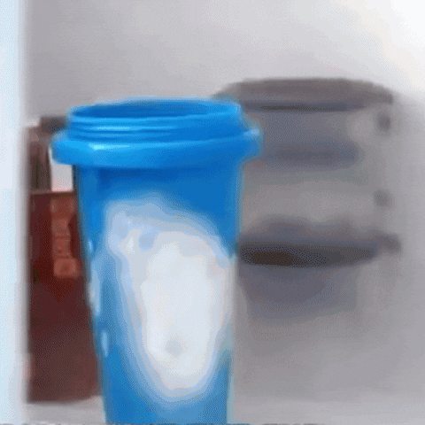 KatzenLiebe giphyupload GIF