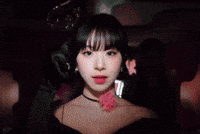 Celebrate GIF