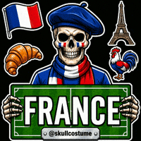 France Soccer GIF