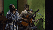Saturday Night Live Snl GIF by Kacey Musgraves