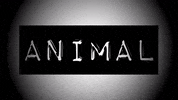 GIF by Sleater-Kinney