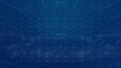 PiratiChomutov giphygifmaker dominik goool pirati GIF