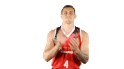 Liga Endesa Basketball Sticker by ACB