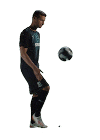 fckrasnodar football ball bull bulls Sticker