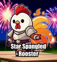 Fireworks GIF by Zorooster