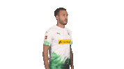 Posing Line Up Sticker by Bundesliga