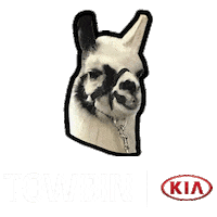 larry llama Sticker by Towbin Automotive
