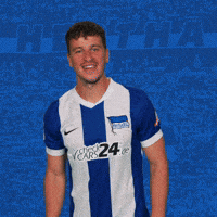 Demme GIF by Hertha BSC