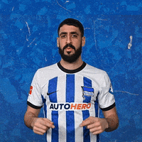 Sport Bundesliga GIF by Hertha BSC